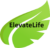 ElevateLife with green leaf.